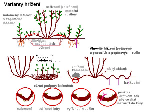 hrizeni